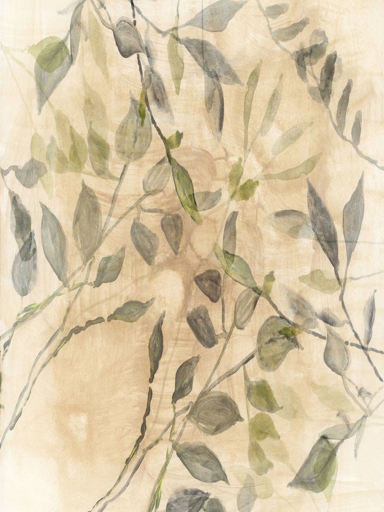 Bløde botaniske blade af cartissi