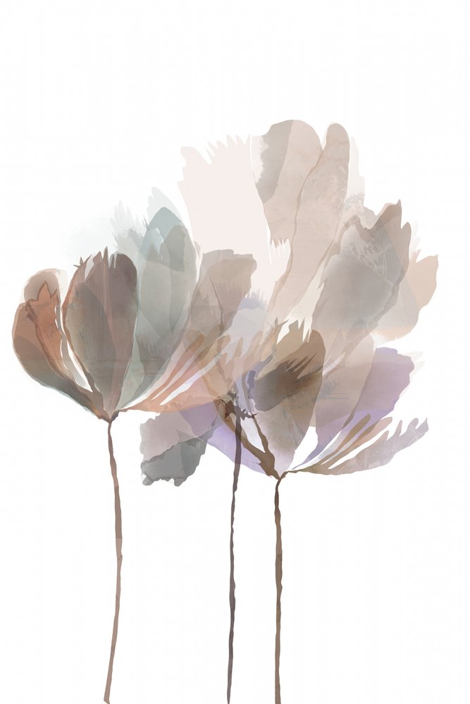 Bløde akvarelblomster af cartissi
