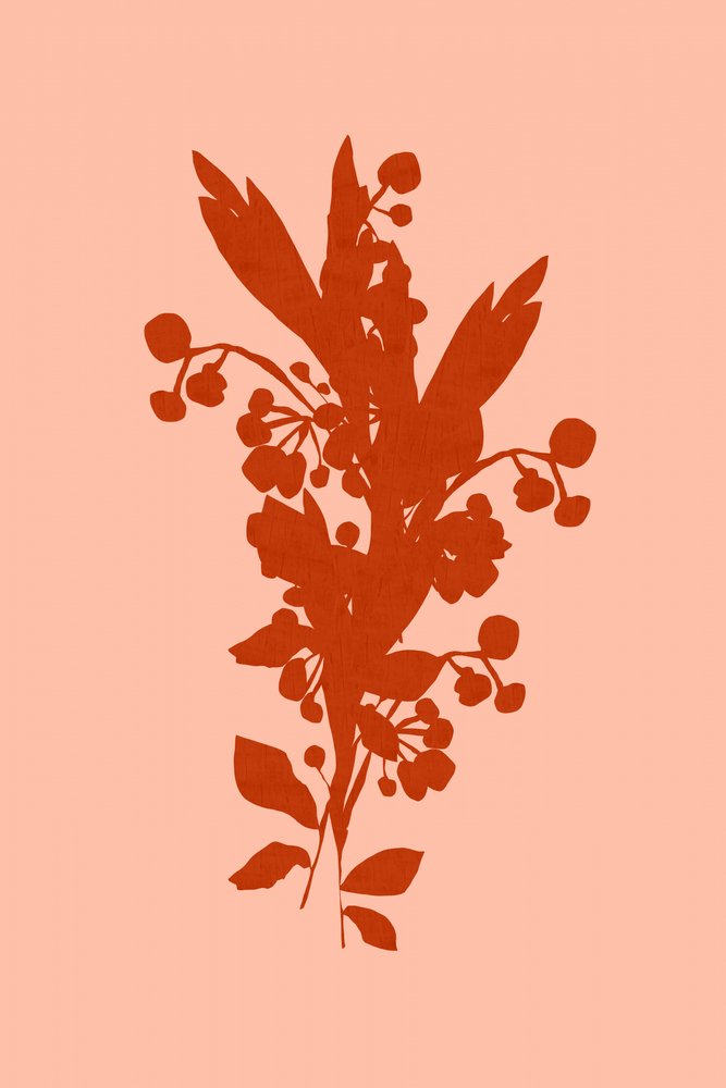  af cartissi
