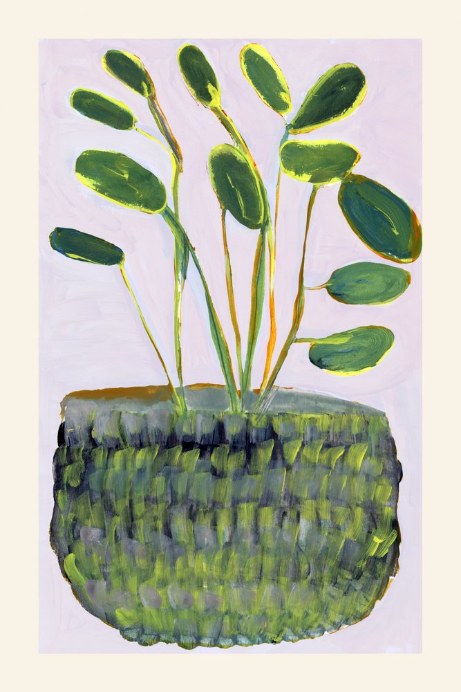 Farverig potteplante af cartissi