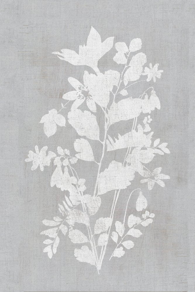 Hvid blomstersilhuet af cartissi