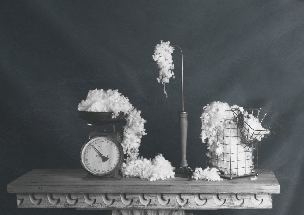 Vintage-stil med bomuldsstilleliv af chenyi wang