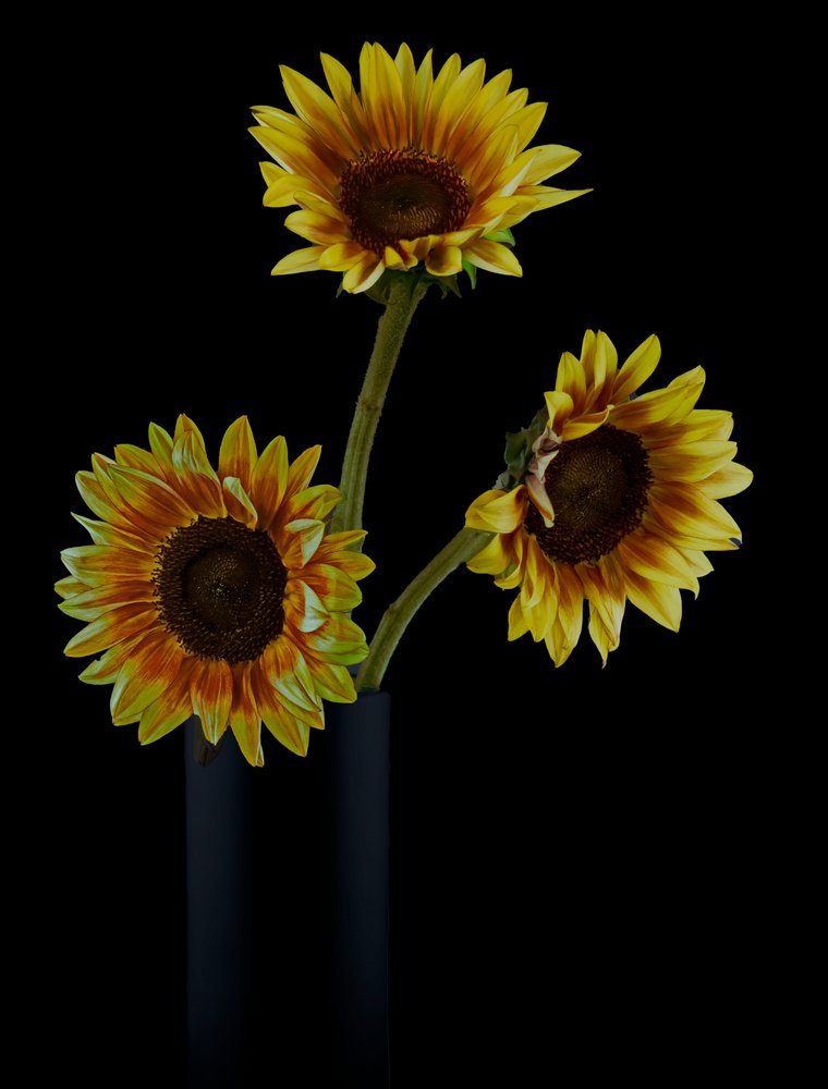 Blomsterarrangement med gyldne solsikker af jlloydphoto