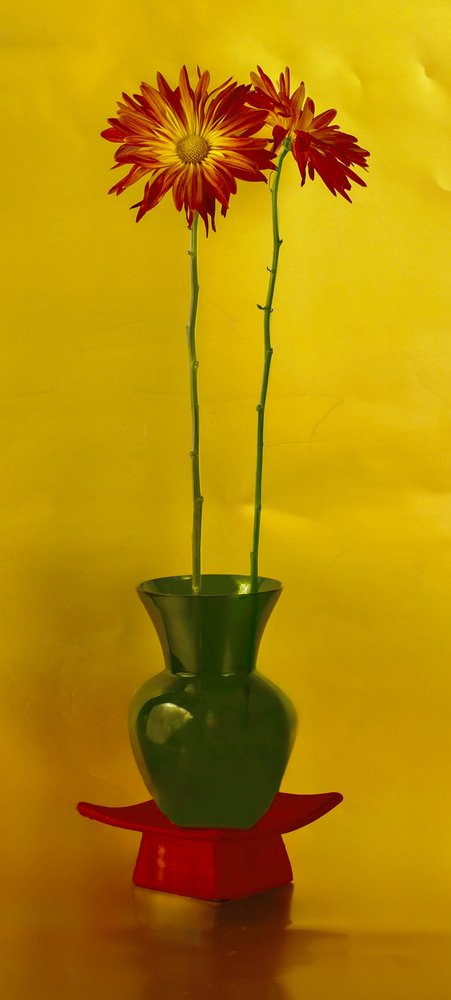 Livligt blomsterstilleben af jlloydphoto