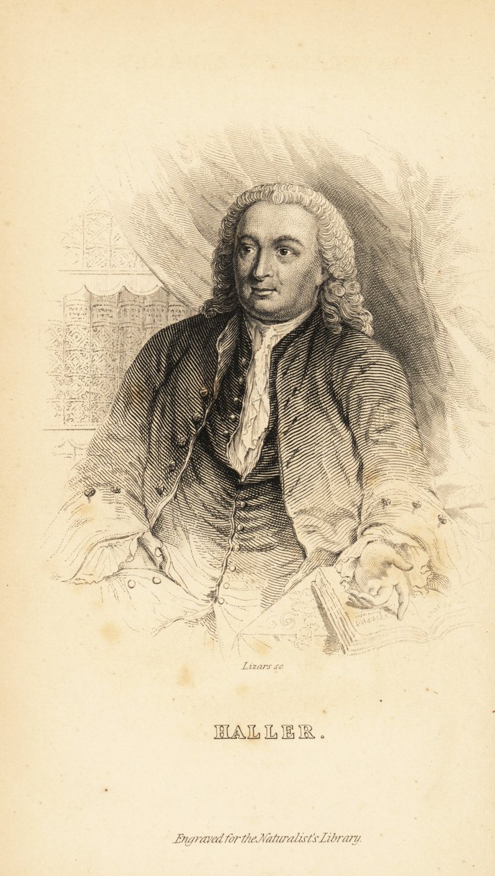 Albrecht von Haller, schweizisk anatom, naturforsker og digter, 1708-1777 af Unknown