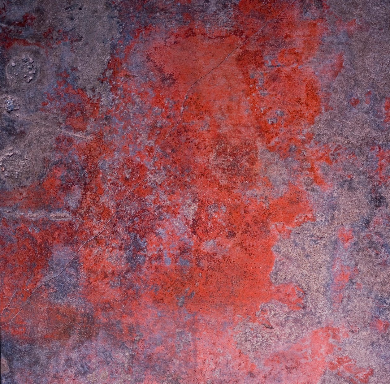 Detalje af en fresco af Unknown