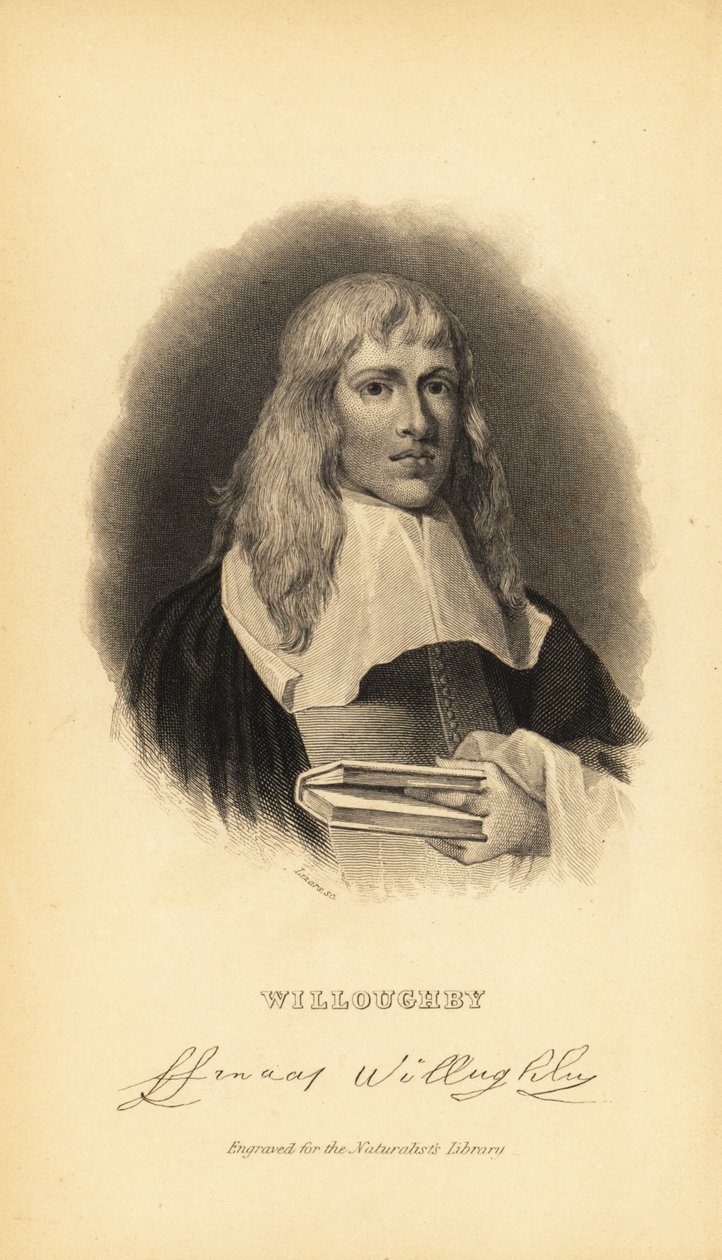 Francis Willughby eller Willoughby, engelsk ornitolog og iktyolog, 1635-1672 af Unknown