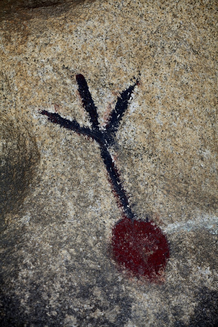 Indiske Petroglyffer i Nordamerika. Maleri tilføjet i 50