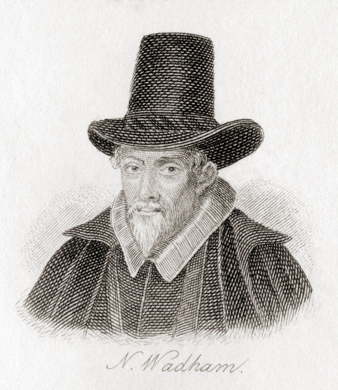 Nicholas Wadham Esquire, ca. 15311532 ? 1609. af Unknown