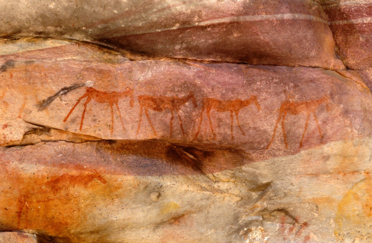 San (Bushmen) klippemalerier, Cedarburg, Western Cape af Unknown