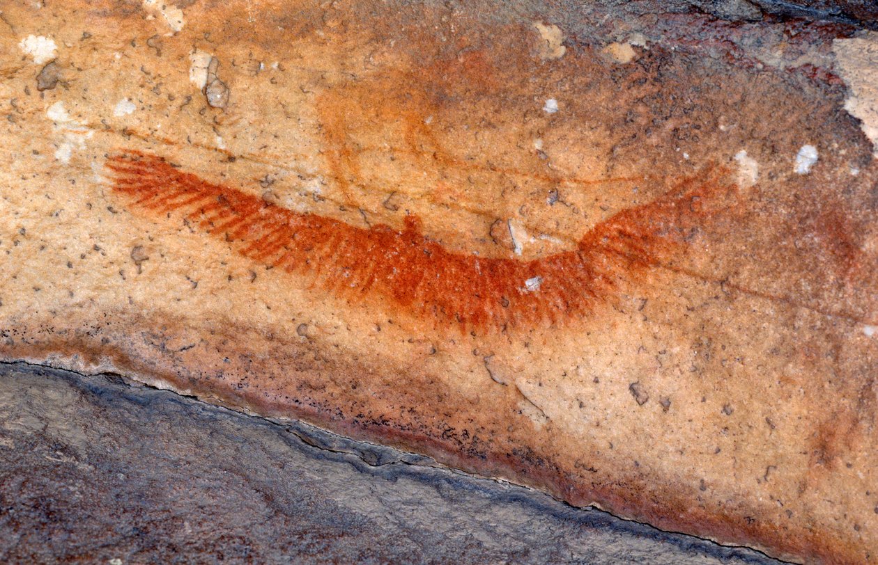 San (Bushmen) klippemalerier, Cedarburg, Western Cape af Unknown
