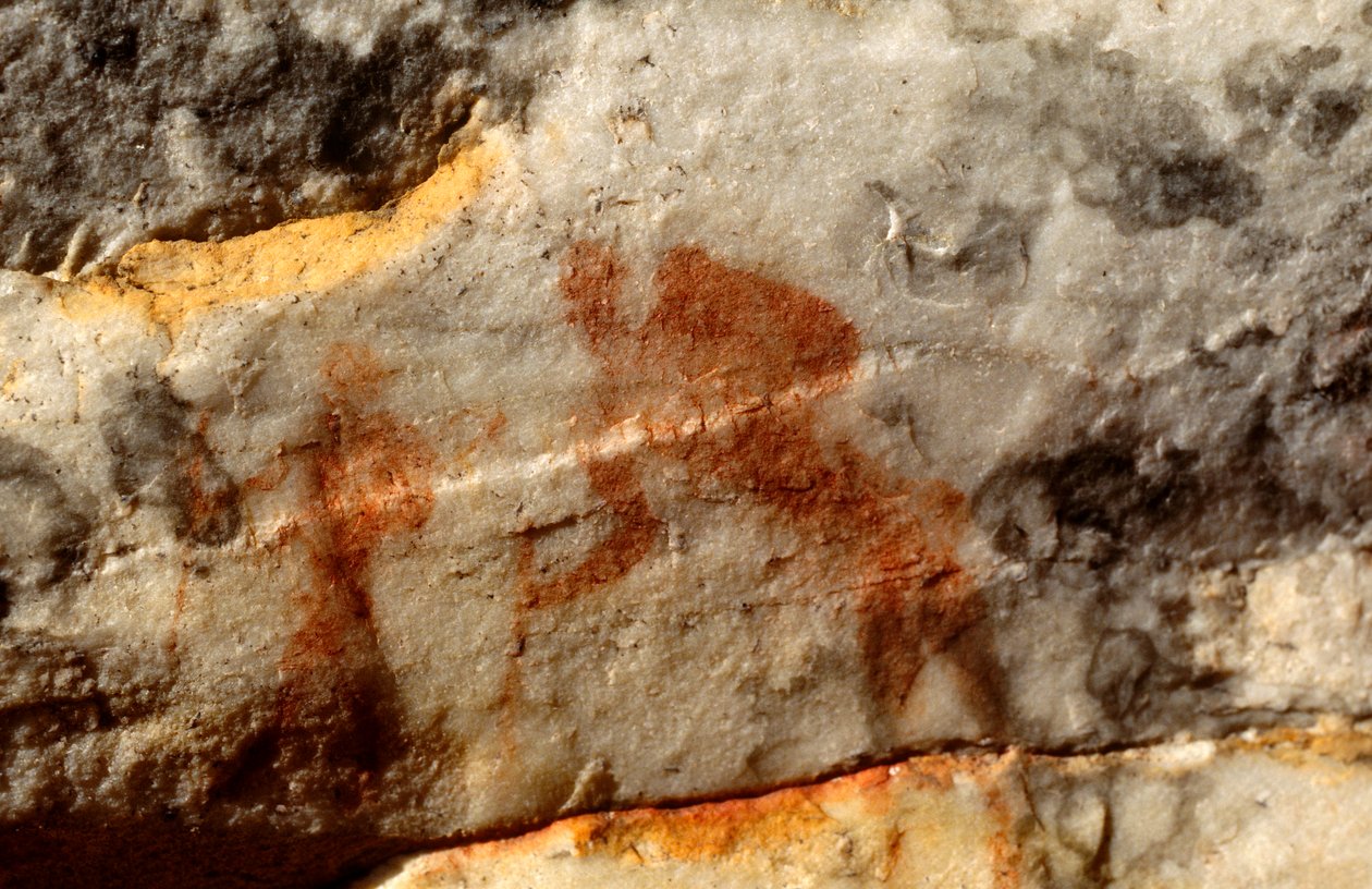 San (Bushmen) klippemalerier, Cedarburg, Western Cape af Unknown