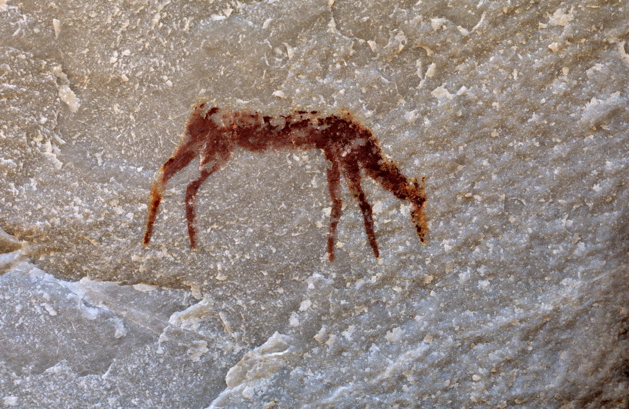 San (bushmen) klippemaleri, Cedarburg, Western Cape af Unknown