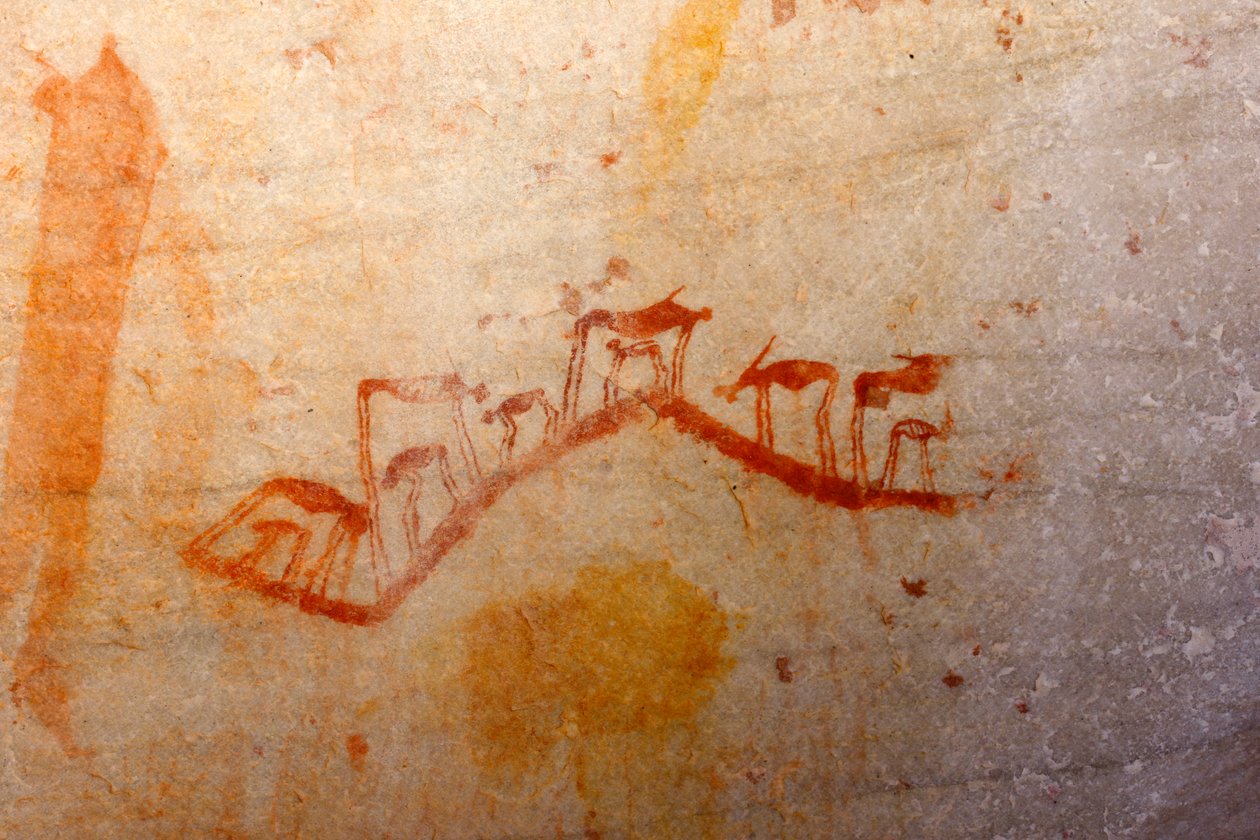 San Rock Art af Unknown