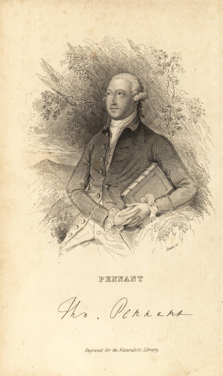 Thomas Pennant, walisisk naturforsker, forfatter og antikvar, 1726-1798 af Unknown