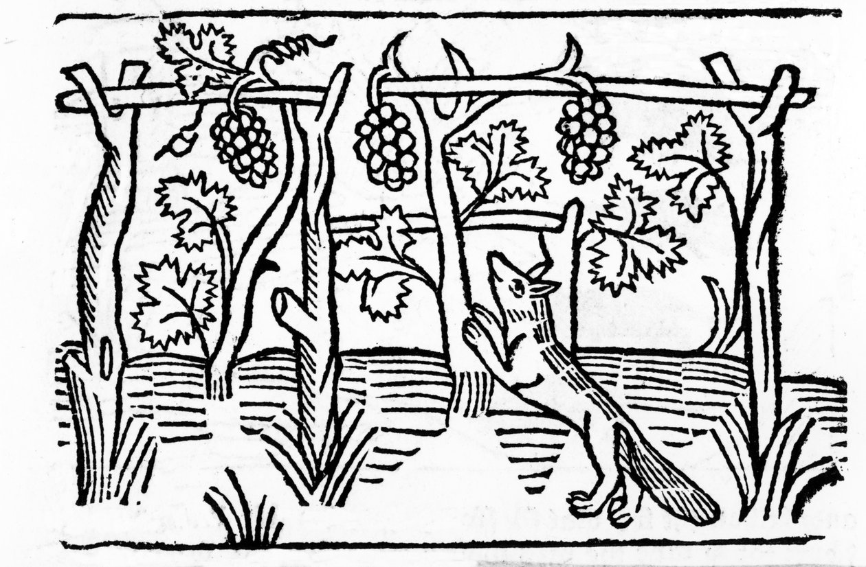 Ræven og Rosinerne, illustration fra Caxtons 