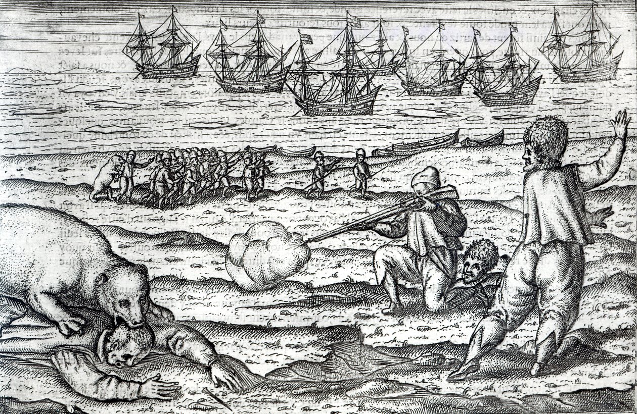 Sømænd angrebet af isbjørne, illustration fra 