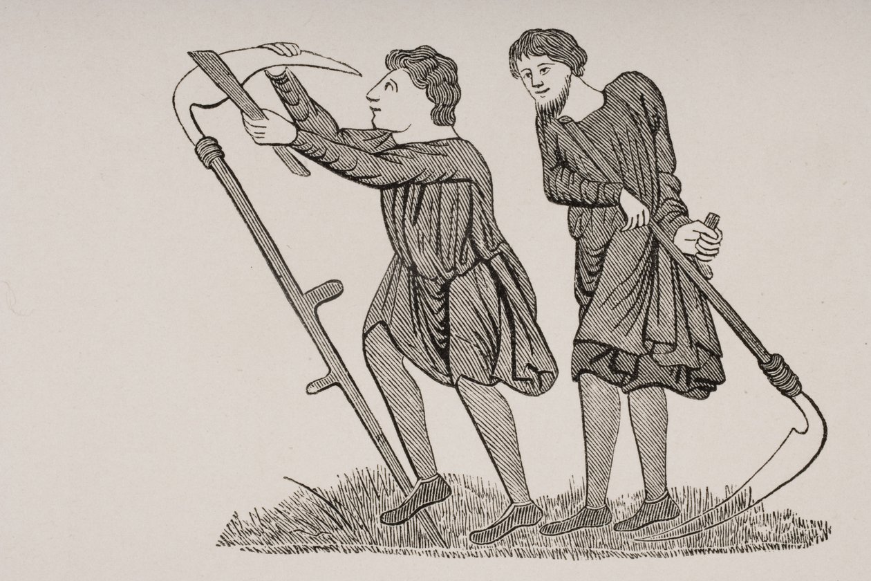 Serfs Laboring in the Fields with Scythes, efter en miniature i et manuskript fra det 12. århundrede, fra 