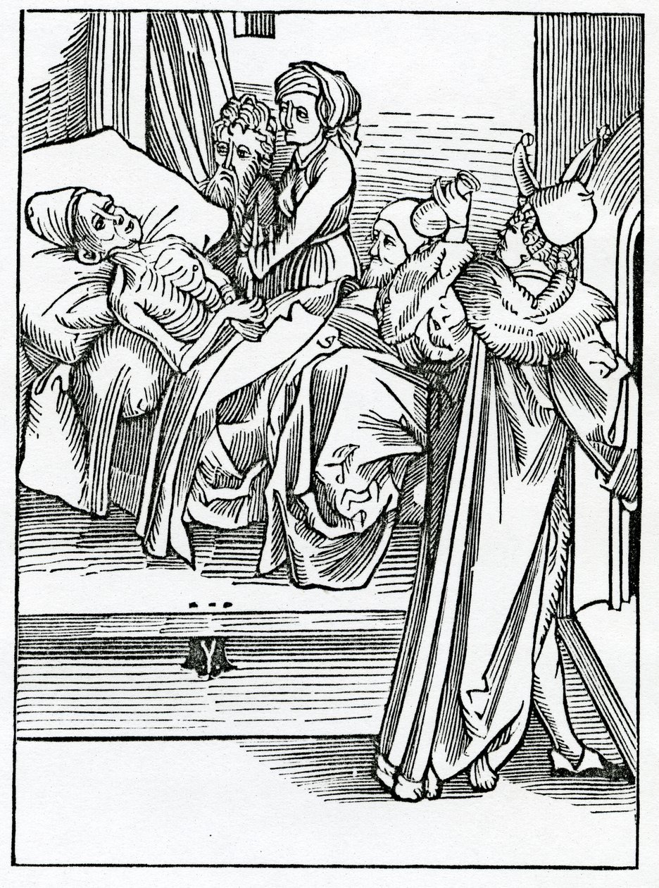 Af uvidende fesycyanere og ulærde, som eneste følger paractyke, der intet ved om deres fakultets spekulation, illustration fra Alexander Barclays engelske oversættelse af 