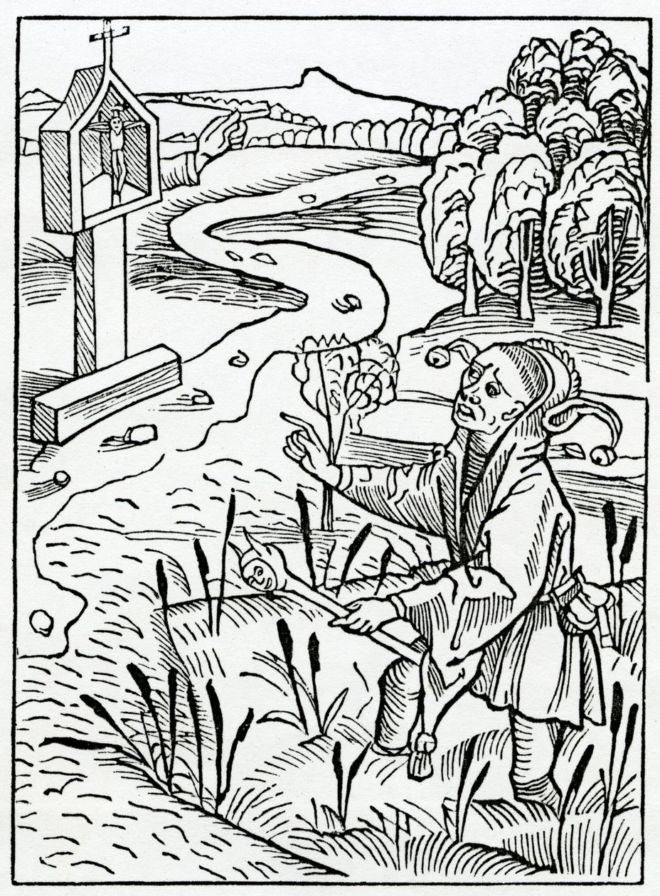 Af dem, der retter andre og dog selv gør intet og synner værre end dem, de så korrigerer, illustration fra Alexander Barclays engelske oversættelse af 