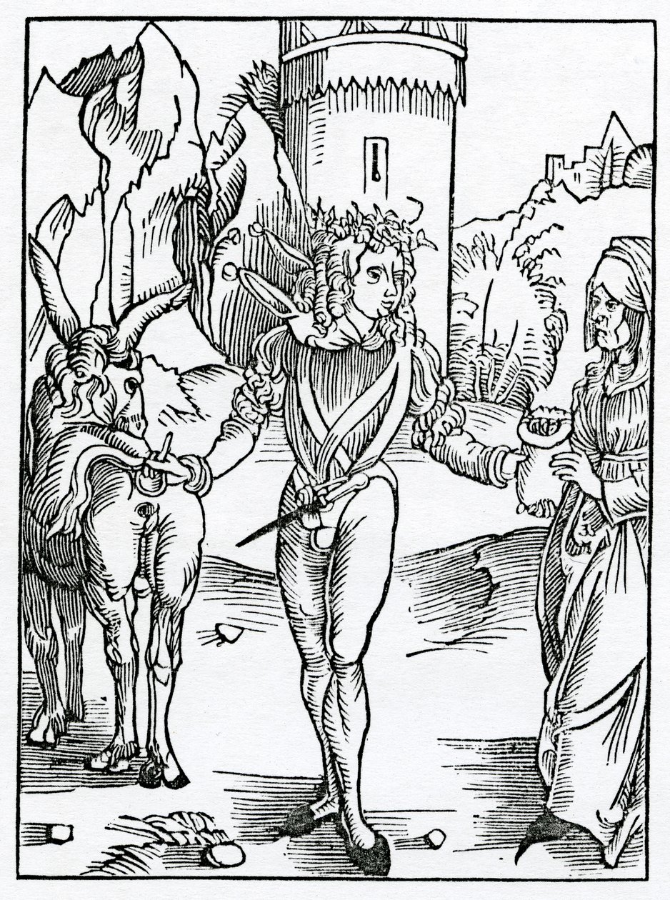 Af yonge foley, der tager gamle wymen for øjnene, for deres ryches, illustration fra Alexander Barclays engelske oversættelse af 