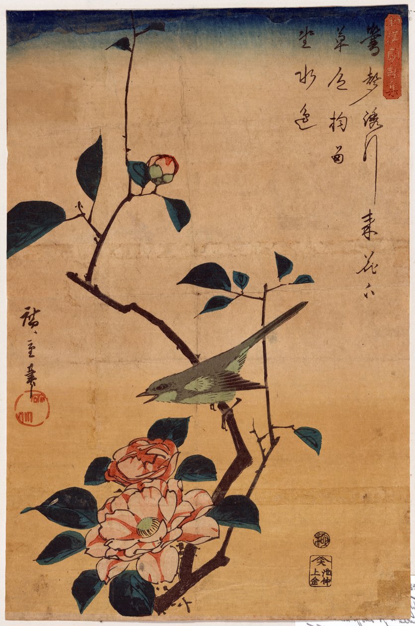 Tsubaki ni Uguisu (Camellia og Bush Warbler) af Utagawa Hiroshige