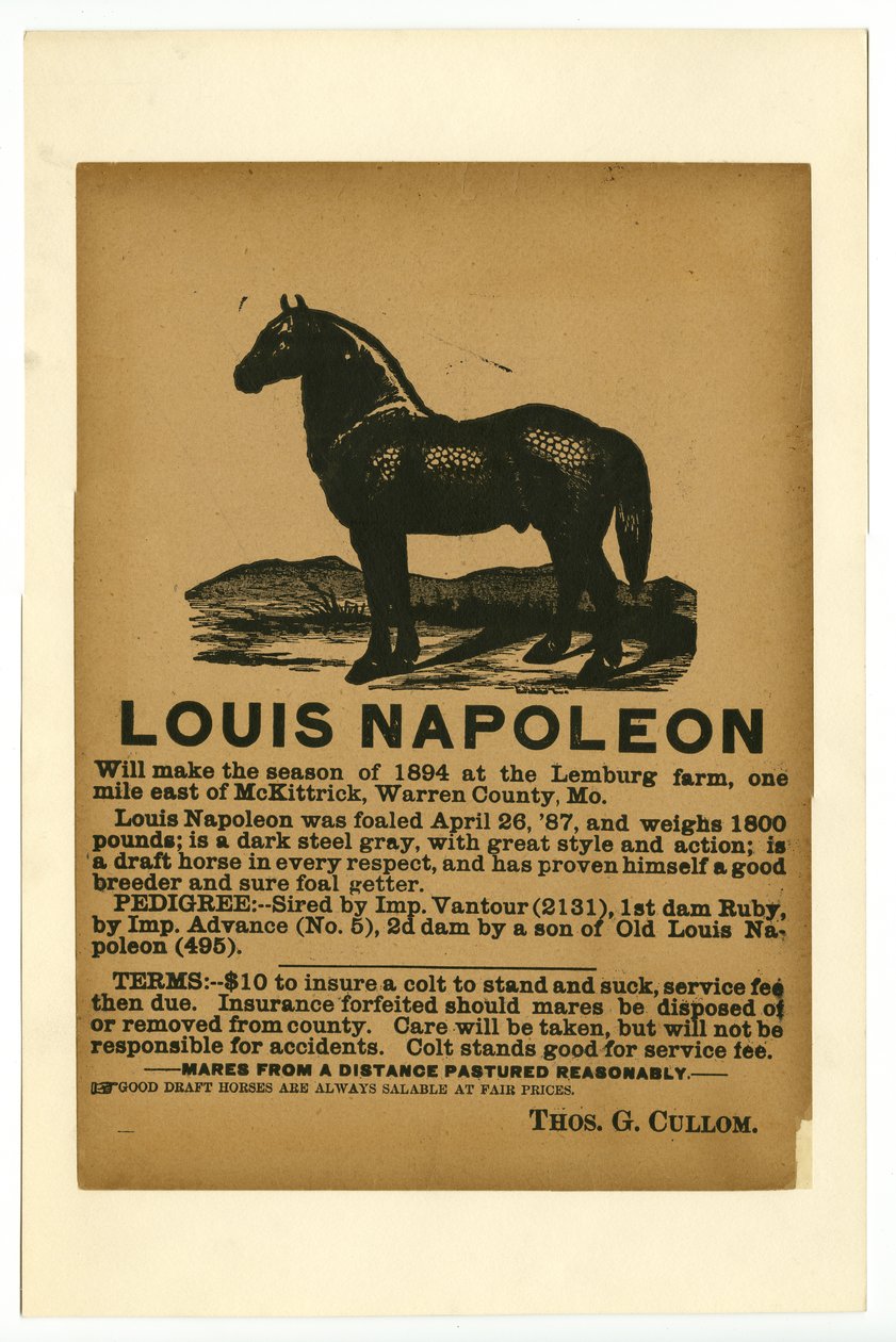 Broadside reklame trækhest Louis Napoleon til service, 1894 af Unknown