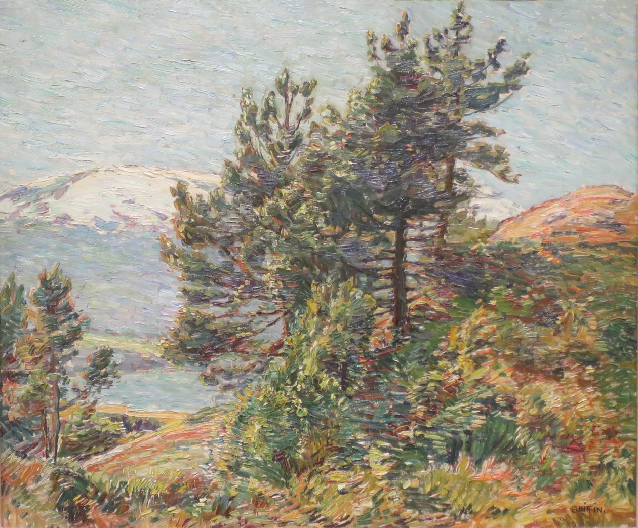 Norway Pines Landskab af Walter Griffin