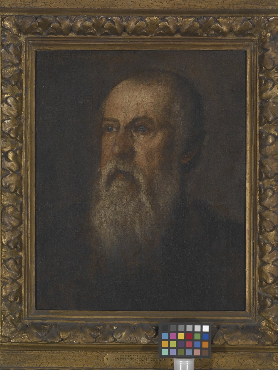 Portræt af en skægget mand (olie på lærred monteret på bord) af (1528 88) Veronese