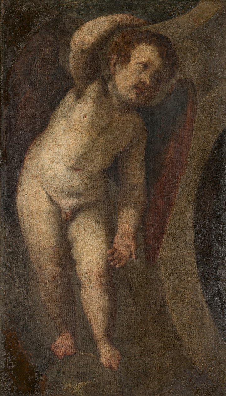 A Standing Putto, ca. 1548-88 (olie på lærred) af Veronese