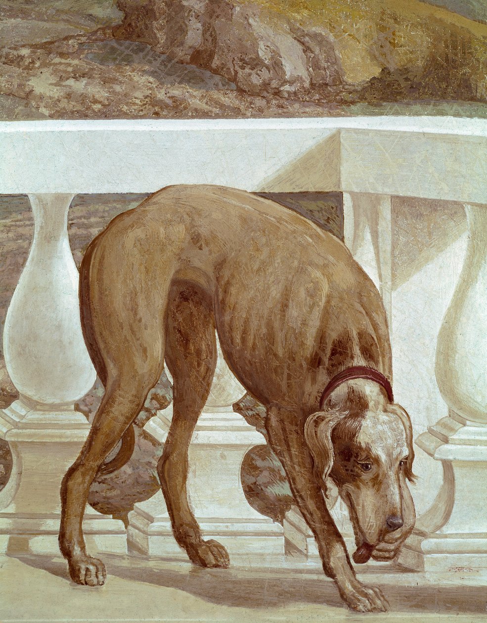 Hund på en altan. Friske detaljer. Maleri af Paolo Caliari kaldet Paolo Veronese (1528-1588), ca. 1561. Fresco Maser (Treviso), Villa Barbaro, Bacchus rum af Veronese