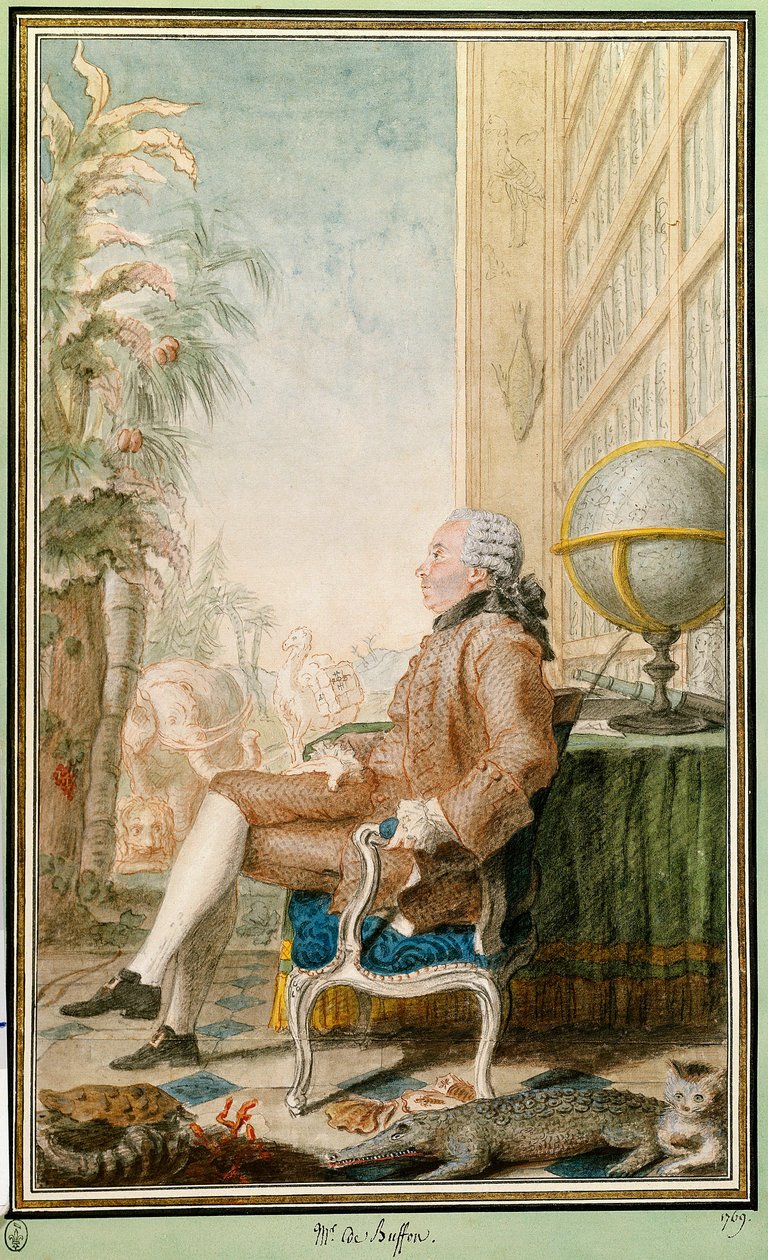 Portræt af Georges-Louis Leclerc, greve af Buffon (1707-1788), naturforsker, intendant for Jardin du Roi. Akvarel af Louis Carrogis Carmontelle (1717-1806). Chantilly. Conde Museum af Carmontelle