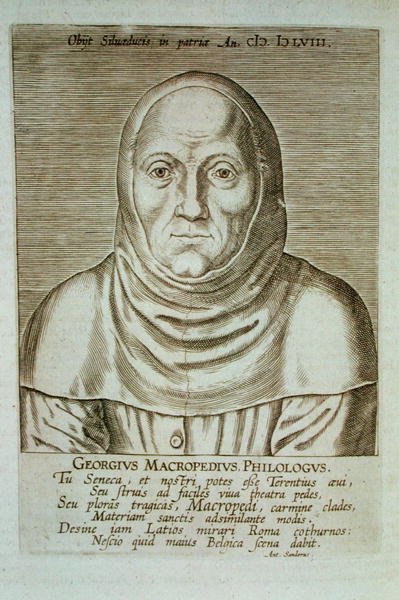 Georgius Macropedius Philologus (ca. 1486-1588) (træbloktryk) af (after) Dutch School