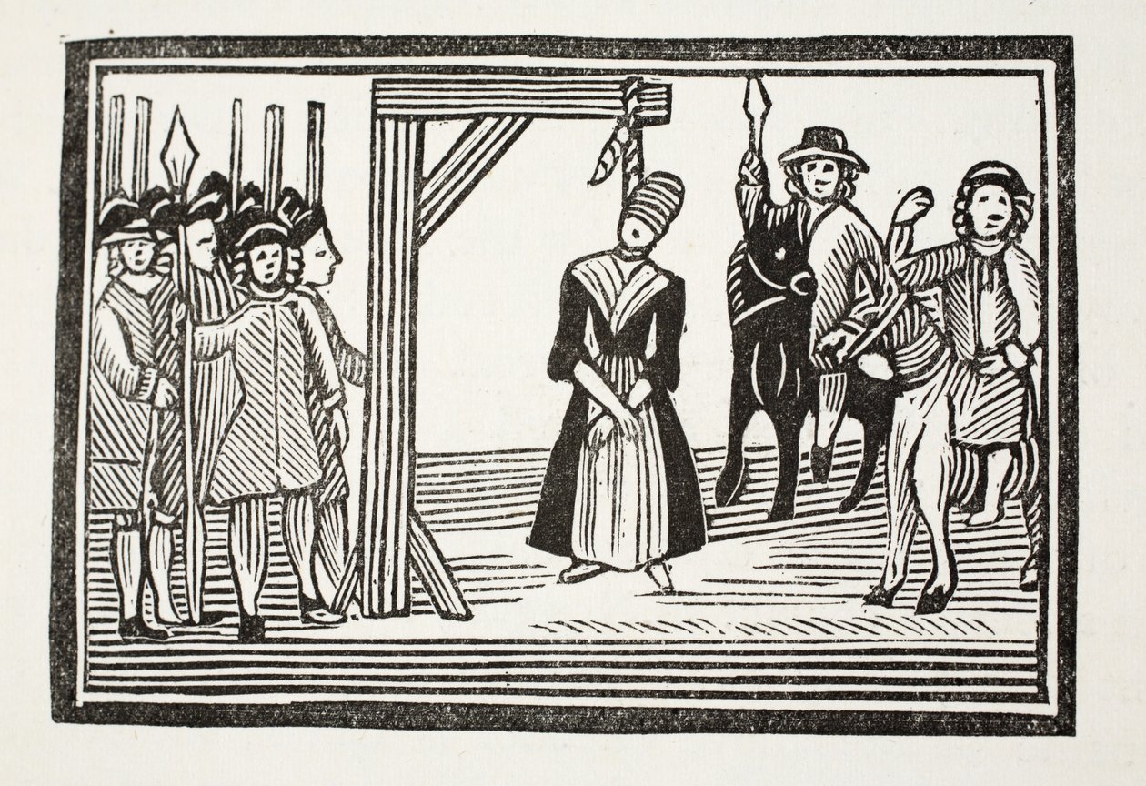 The Whole Life and Adventures of Miss Davis, almindeligvis kaldet The Beauty in Disguise, illustration fra 
