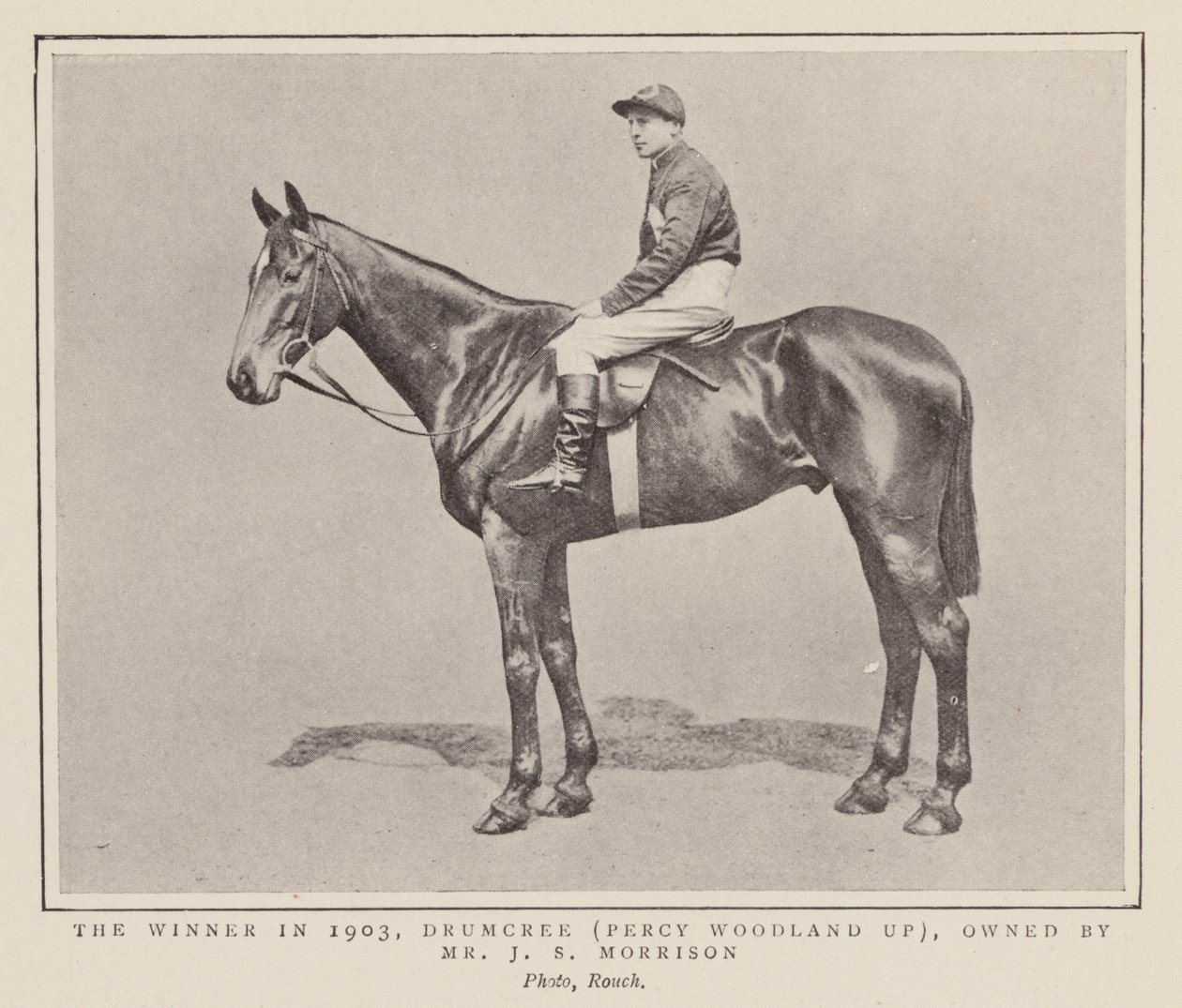 Drumcree, vinder af Grand National 1903 (s/h-foto) af (after) English photographer