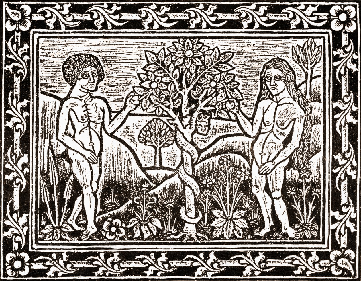 Træet, hvorfra Adam spiste æblet, faksimile fra en meditationsbog, den første bog trykt i Albi, Languedoc, i 1481 af (after) French School