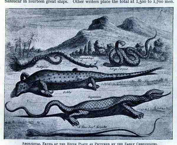 Aboriginal Fauna som afbildet af Early Chroniclers i 