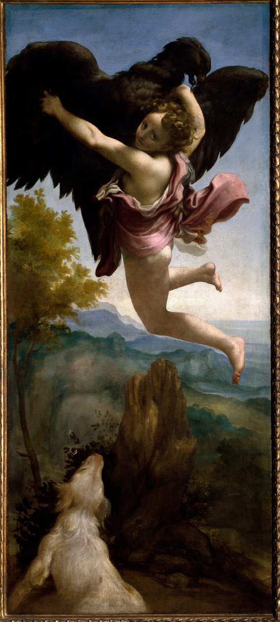 Bortførelsen af Ganymedes (maleri, ca. 1531) af (c.1489 1534) Correggio