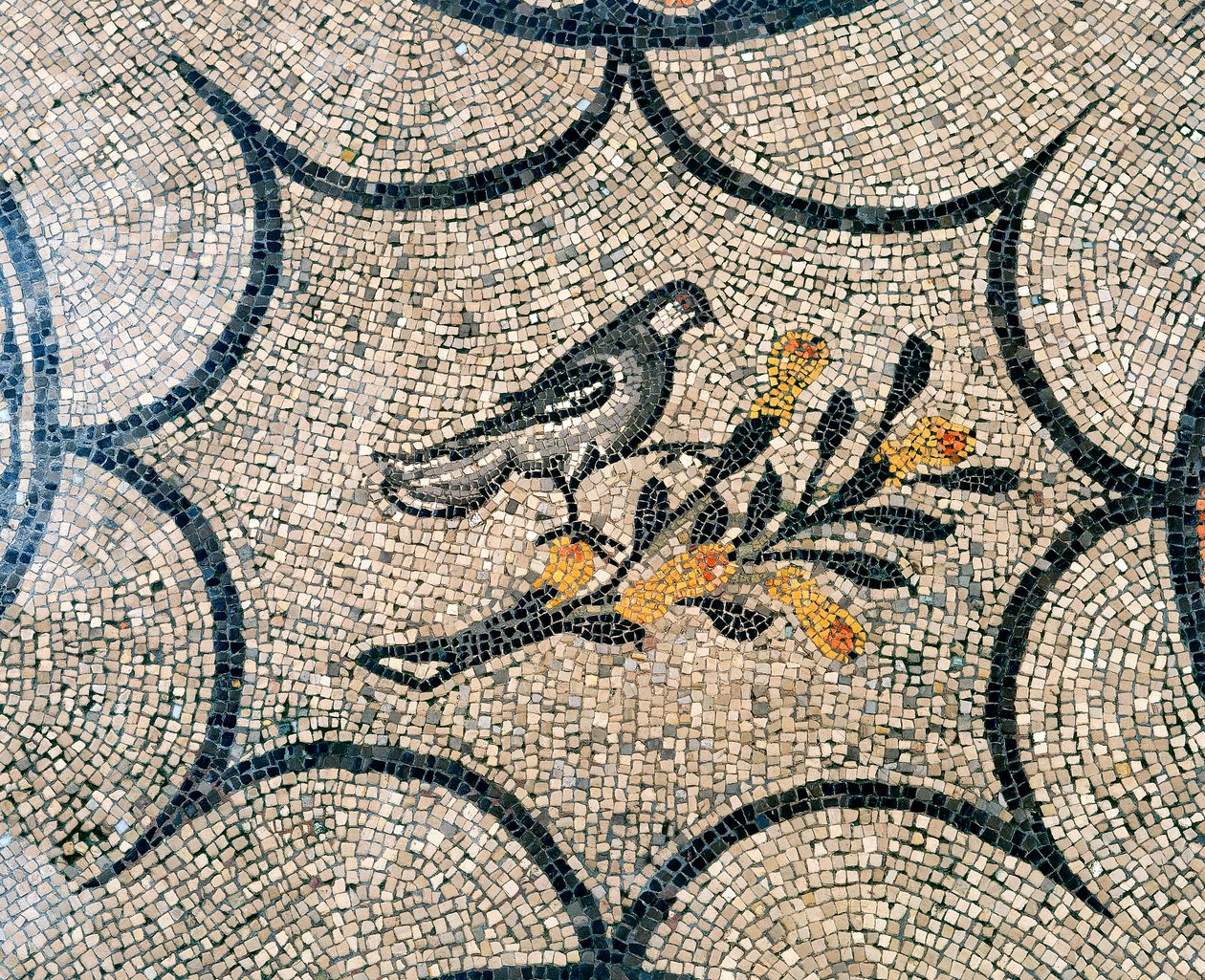 Detalje af gulvet i den tidlige kristne basilika i Aquileia, Udine af Unknown