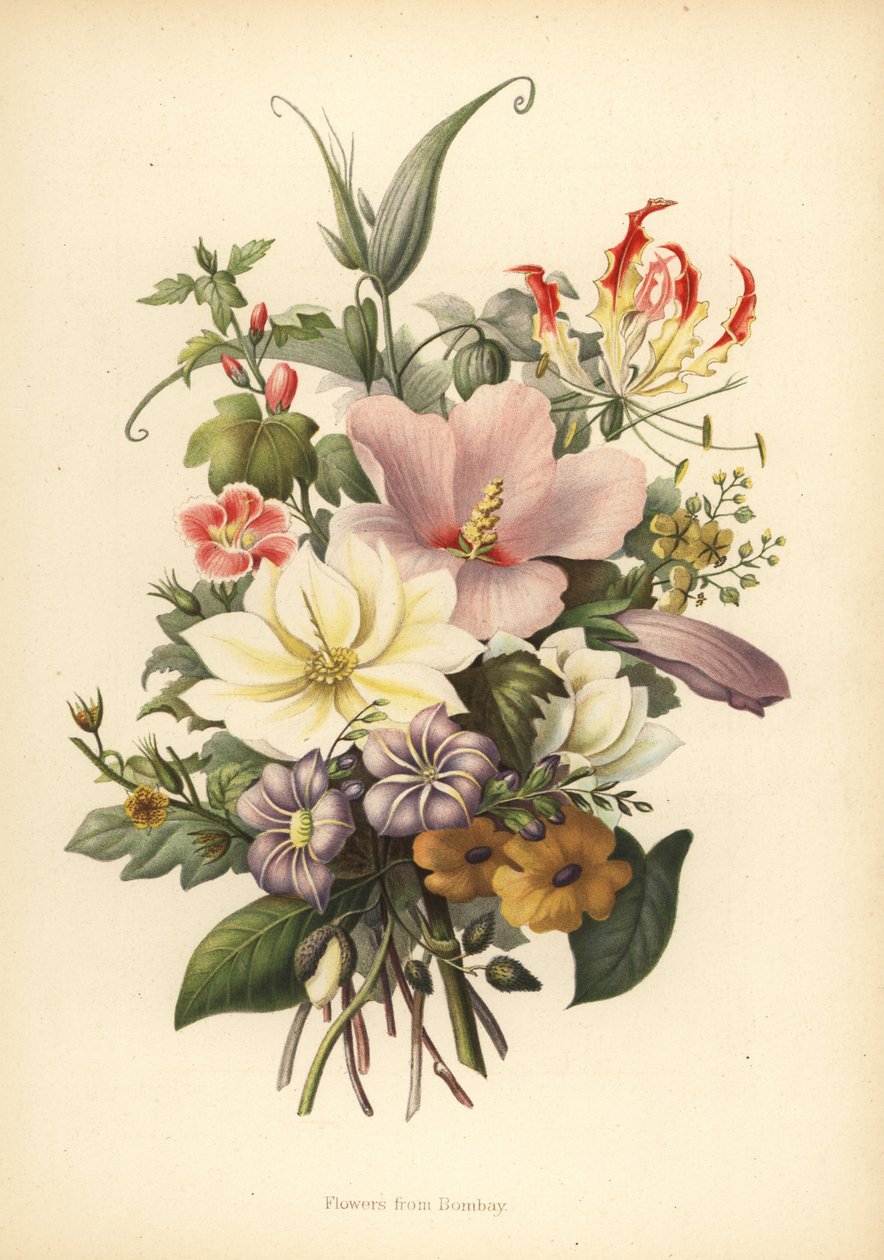 Blomster fra Bombay, Indien af Unknown