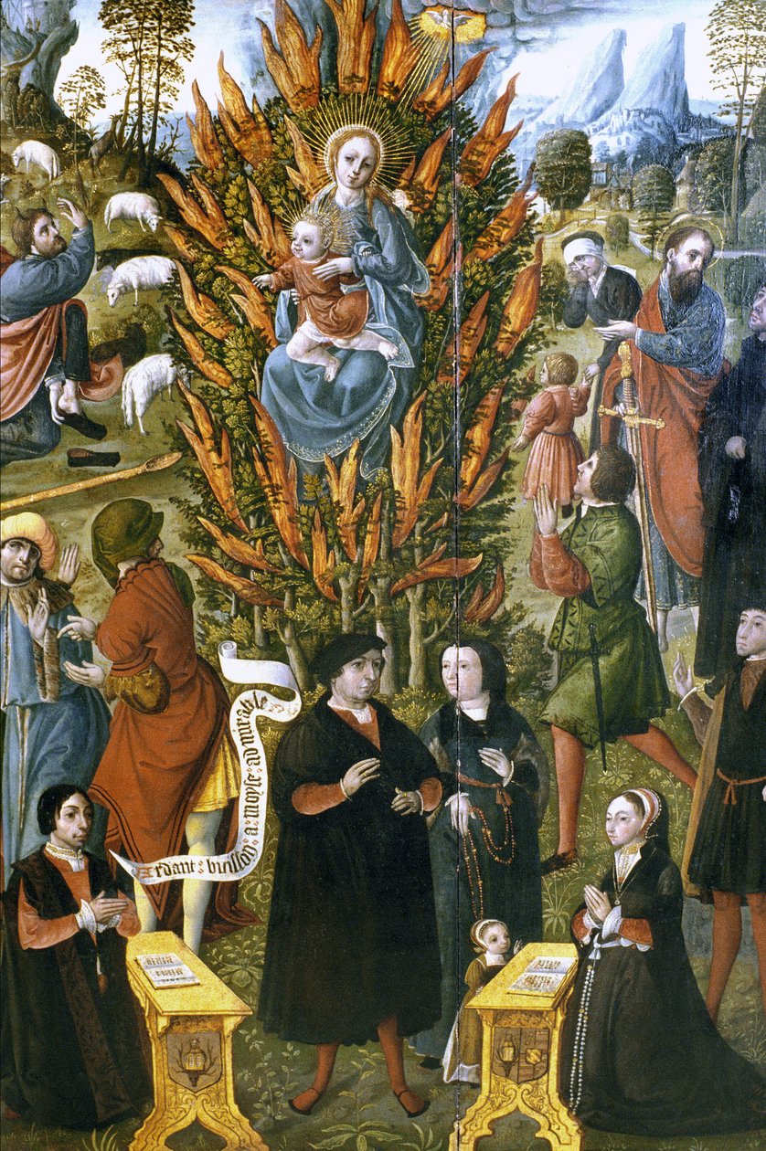 Frankrig - Somme - afdeling 80 - Abbeville - DR Musee Boucher de Perthes - Jomfruen med den brændende busk, bestilt af Jean de Cermoise mellem 1526 og 1531. Olie på træ af Unknown