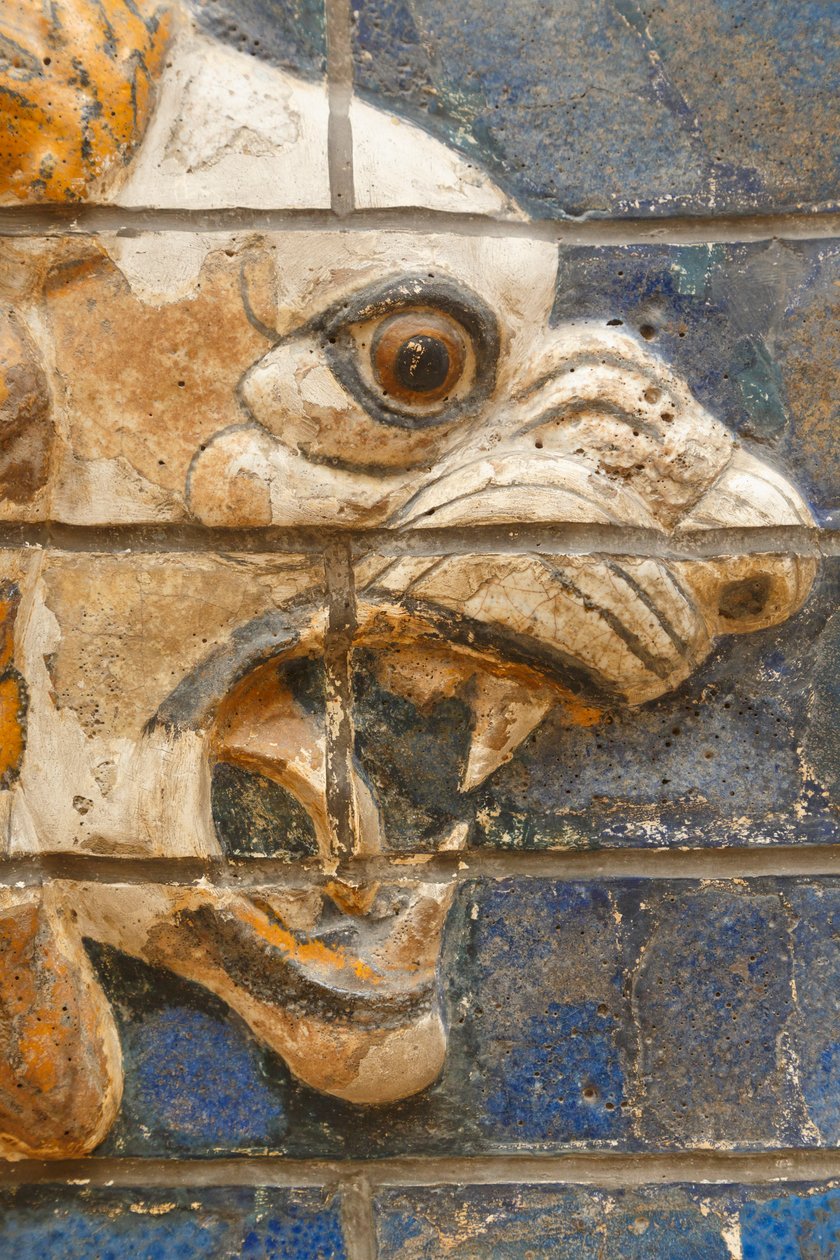 Istanbul, Tyrkiet. Arkæologisk Museum. Glaseret murstensløve i relief fra processionsgaden, Babylon, dateret fra Nebuchadnezzar II-perioden omkring 604-562 f.Kr. af Unknown