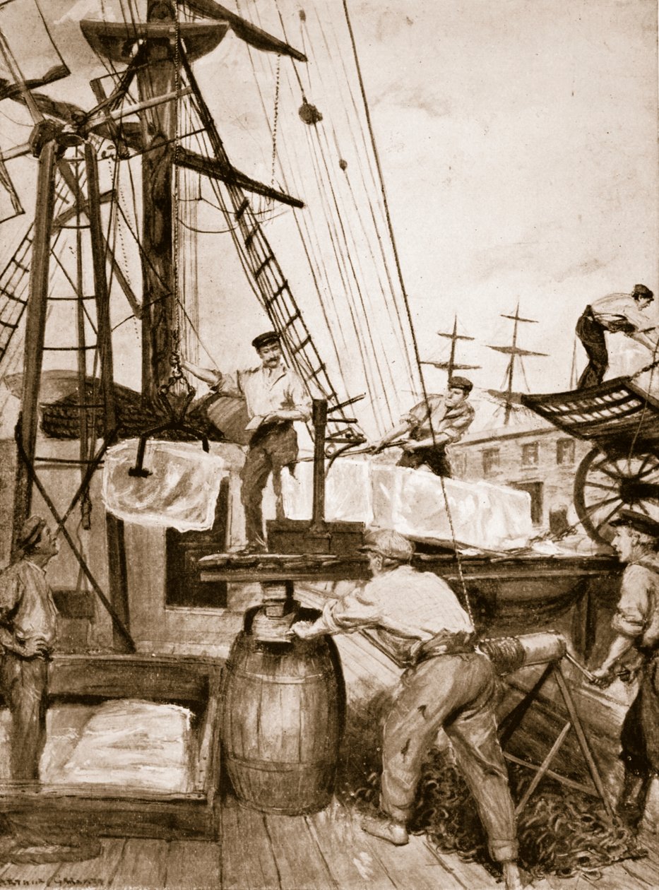Ankomst og losning af et norsk isskib ved en kaj i London af Unknown
