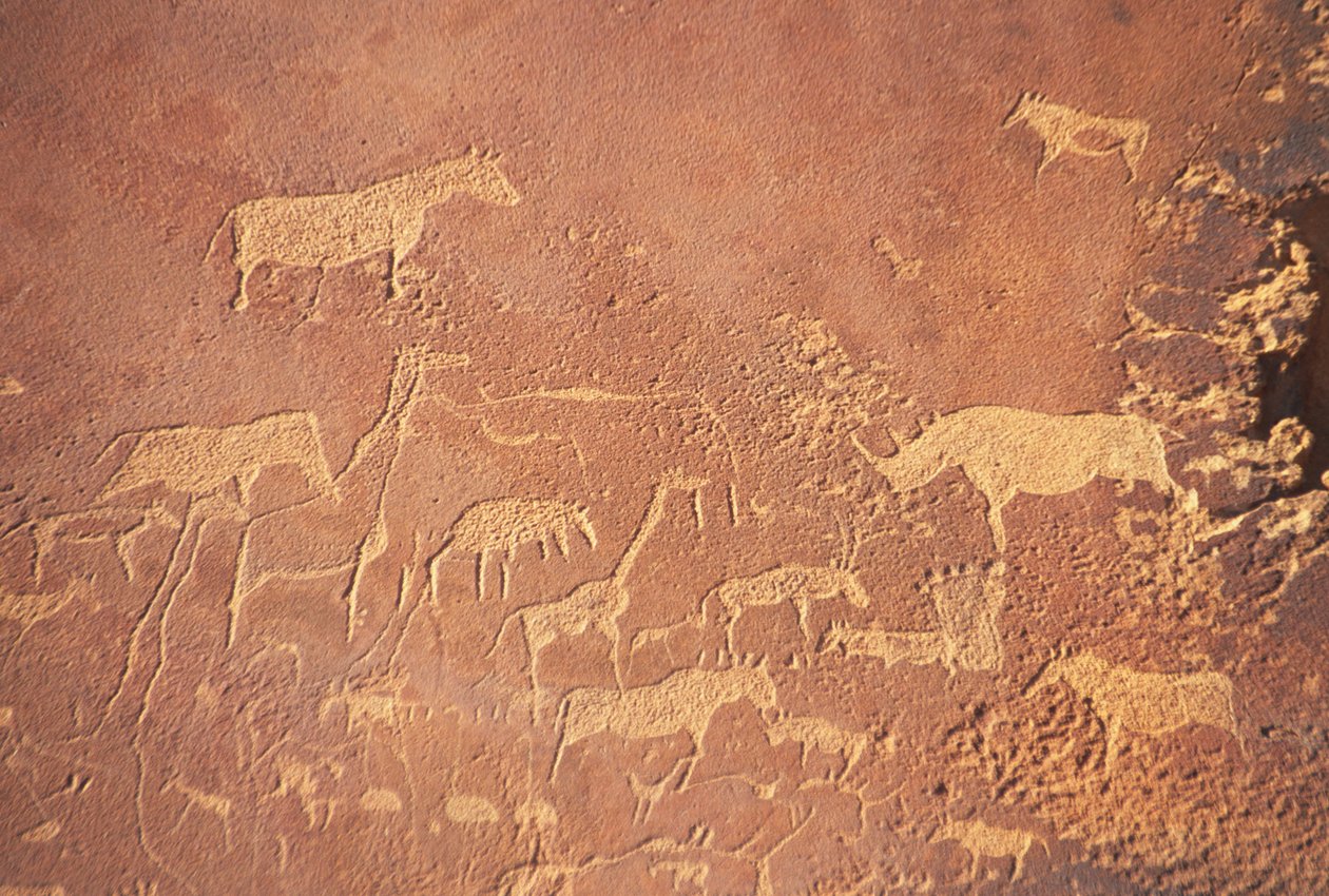 Twyfelfontein, syd for Khorixas, har en af de mest omfattende ophobninger af forhistoriske klippemalerier i Namibia, malet af Damara-folket for 5-6.000 år siden. Overvejende portrætteret er løve af Unknown