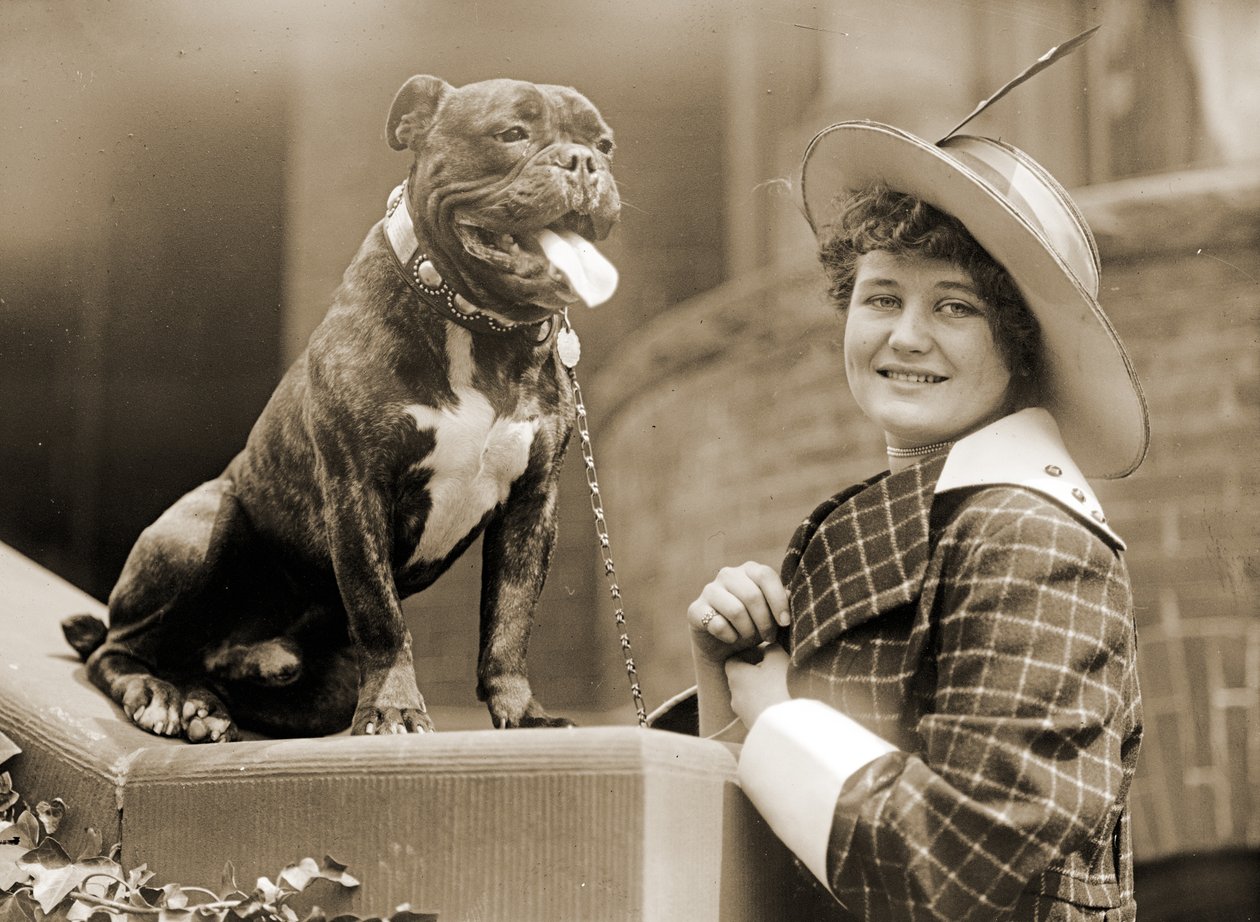 Ung pige og hendes Bull Terrier ca. 1915 af Unknown