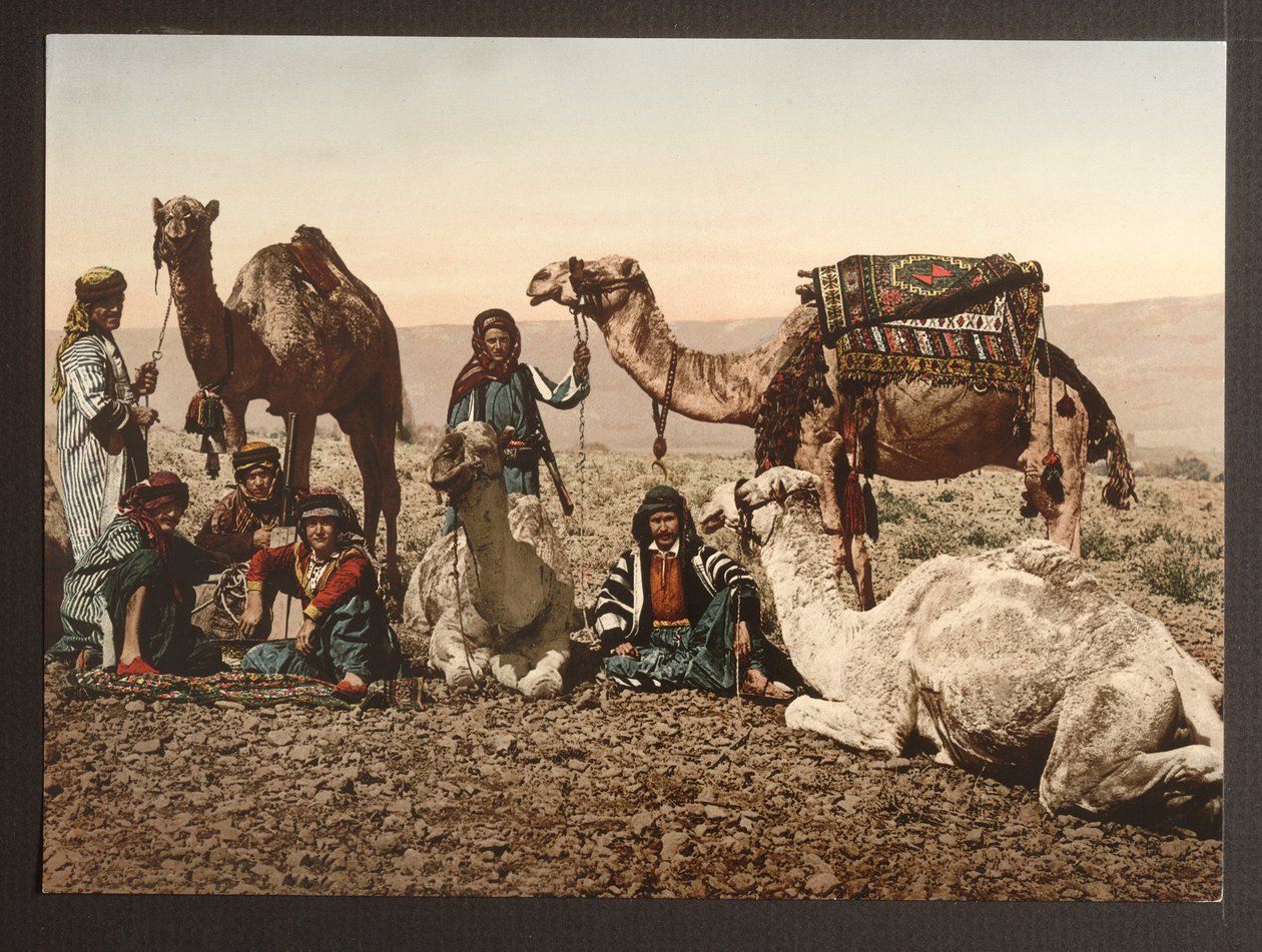 Kameltog i ørkenen på et hvil, pub. 1895 af American Photographer