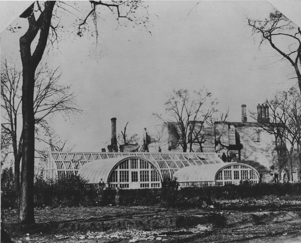 Ezra B. McCaggs bolig og vinterhave efter Chicago-branden i 1871, 1871 af American Photographer