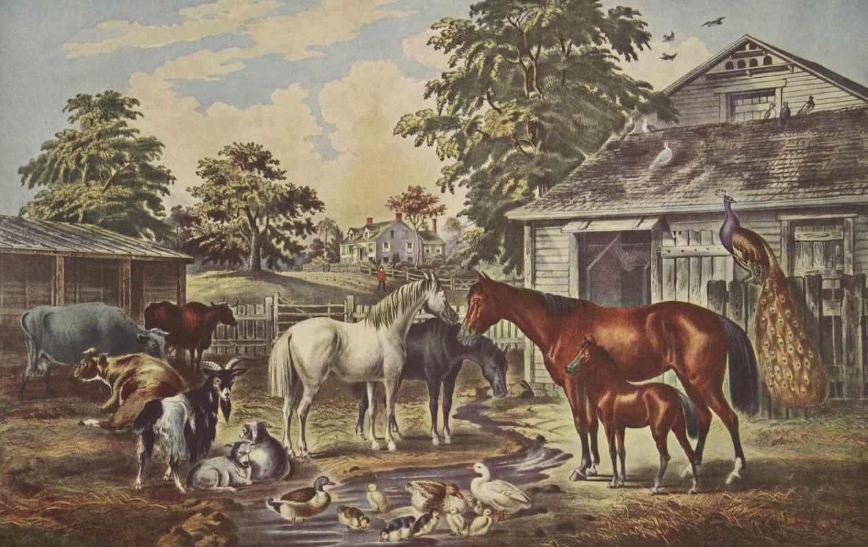 Amerikansk gårdsplads - morgen, pub. 1857, Currier & Ives af American School