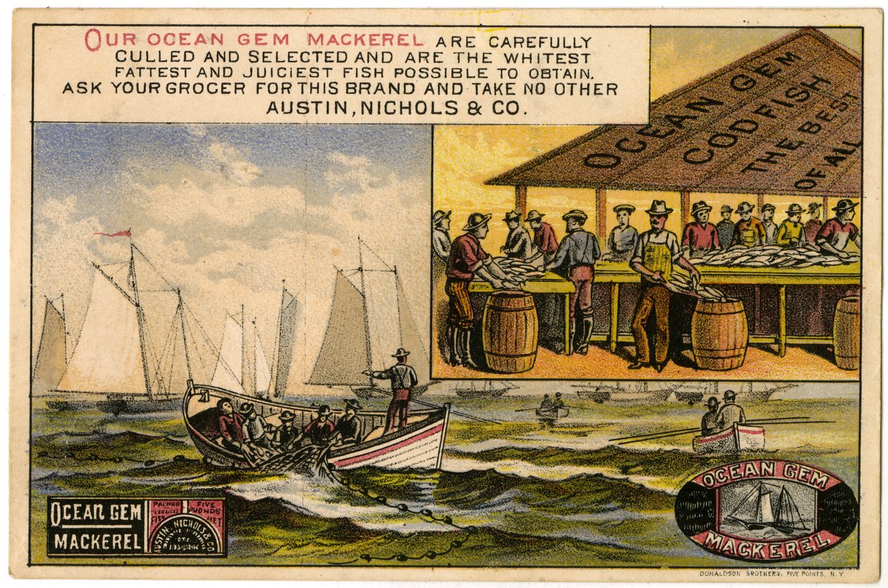 Austin, Nichols & Co. Ocean Gem Makrel, trade card recto., (farve litho [varekort]) af American School