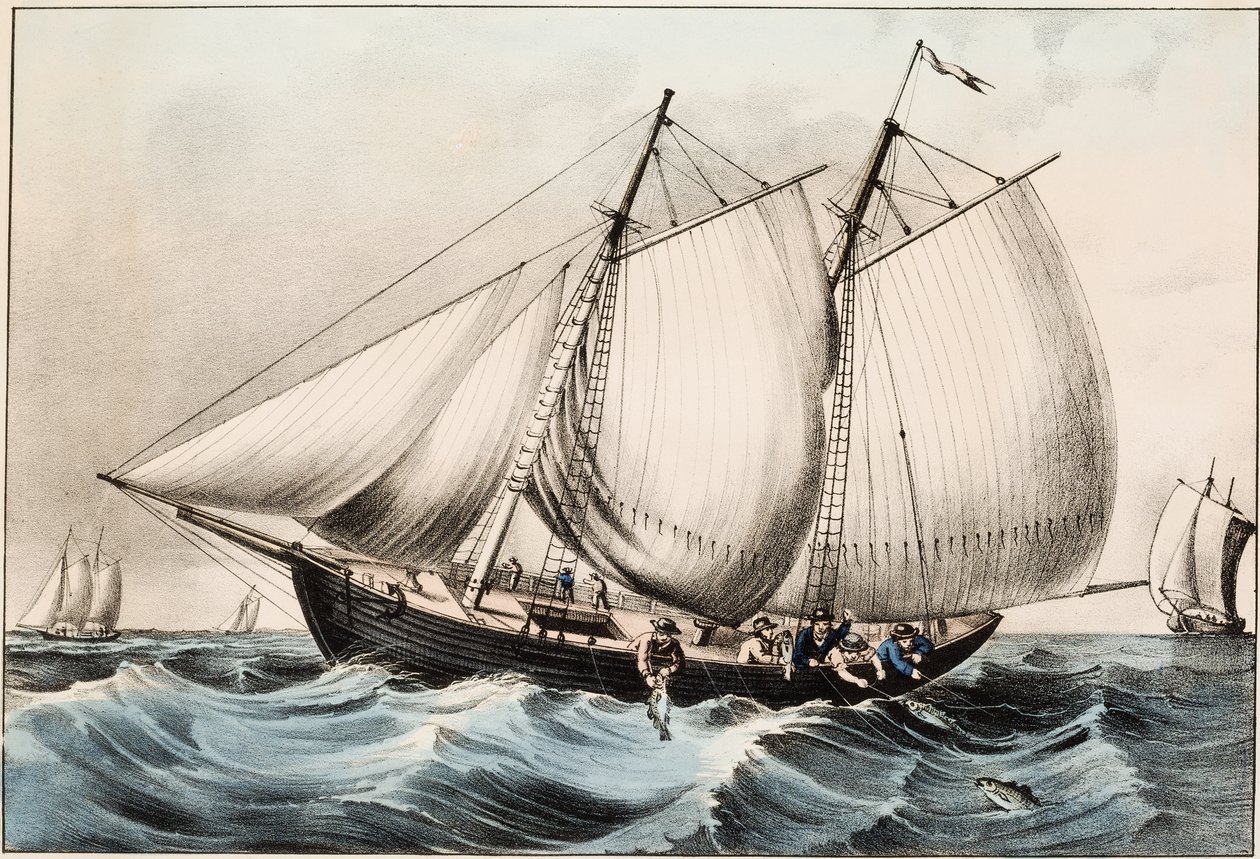 Torskefiskeri ud for Newfoundland, pub. 1872 af American School